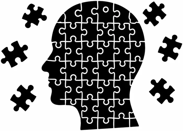 Understanding the project